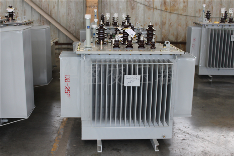 通化S20-800kVA/10kV/0.4kV变压器